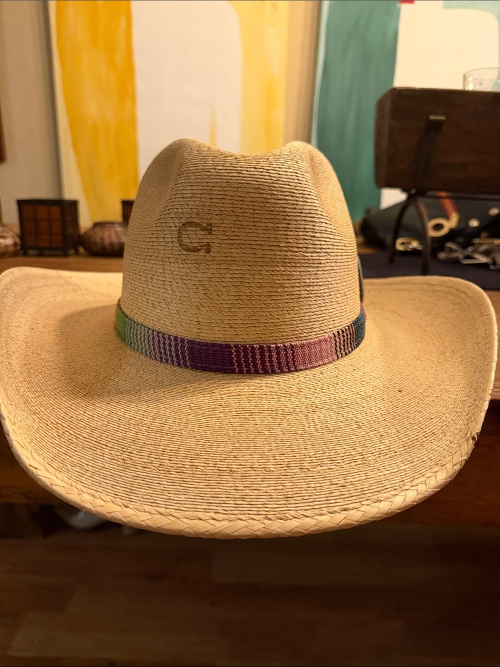 Straw Cowboy Hat with Multicolor Band - CHARLIE 1 HORSE